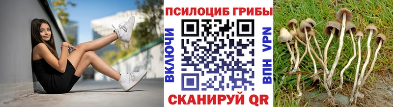 Галлюциногенные грибы Psilocybe  Инсар 